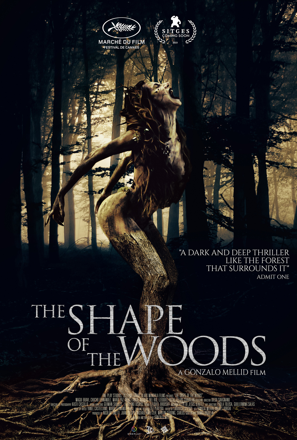 THE SHAPE OF THE WOODS