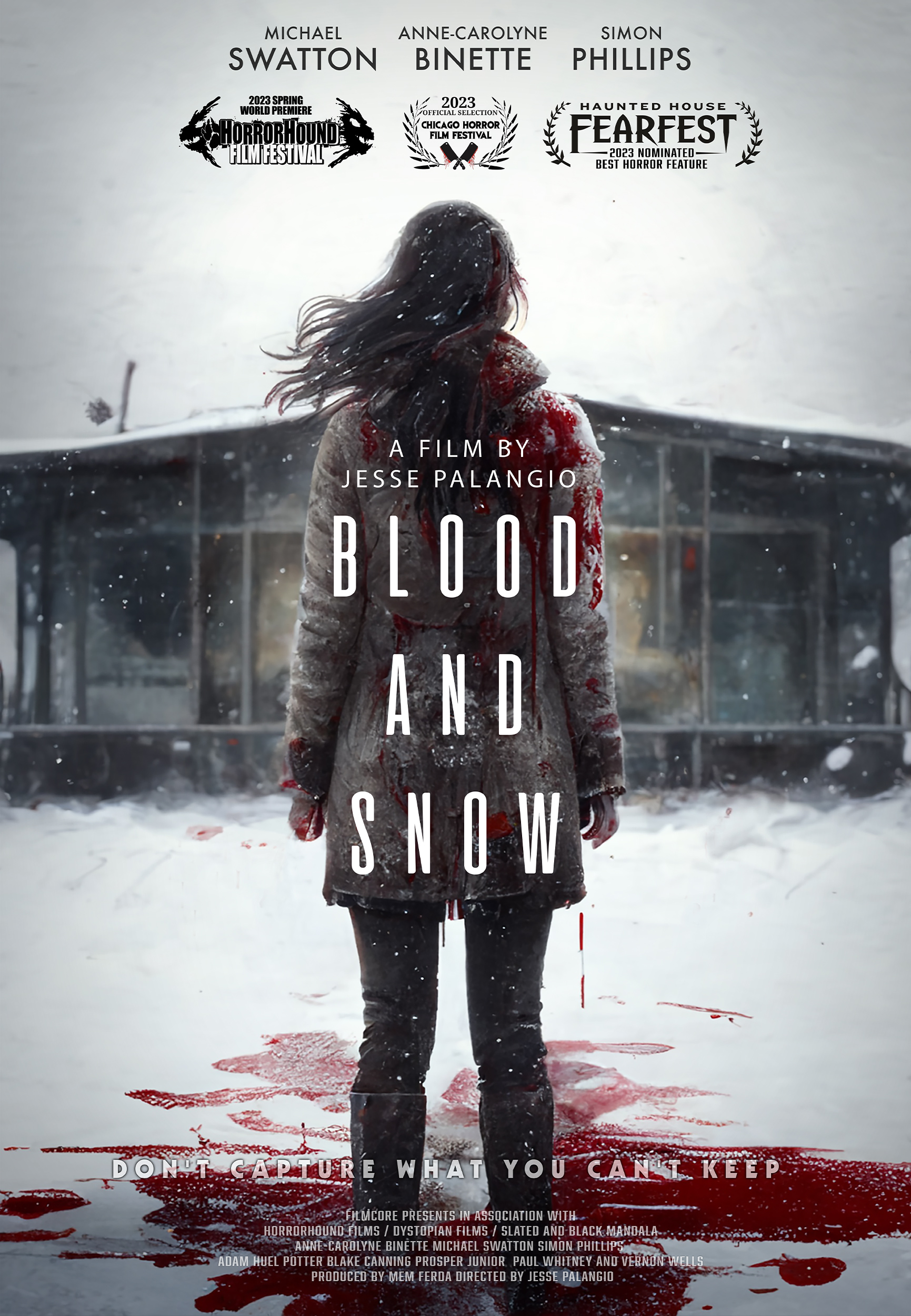 BLOOD AND SNOW